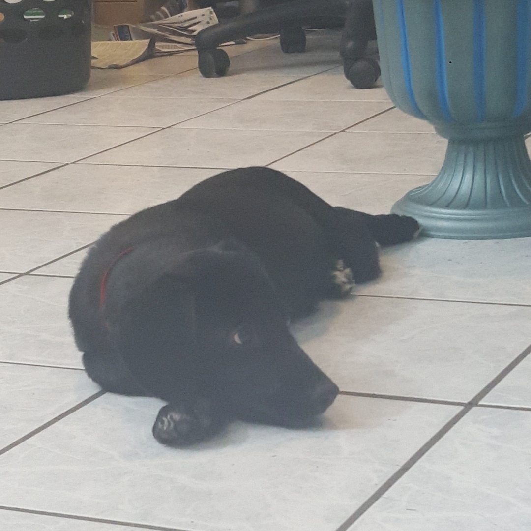 20170913_201249.jpg