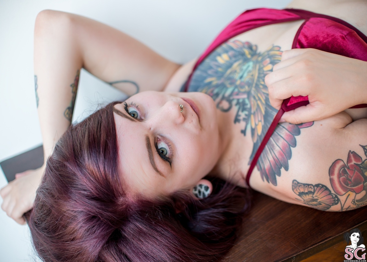 mikaul-camembear-09.jpg