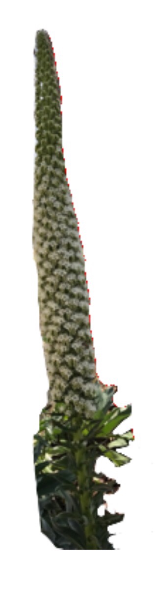 file.jpg