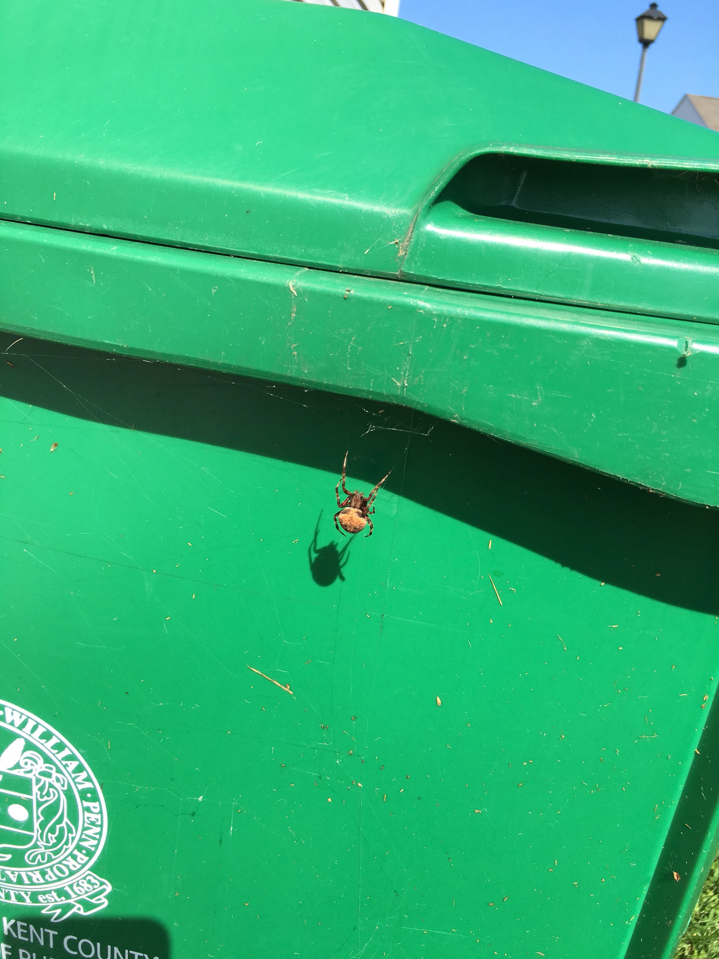 file.jpg