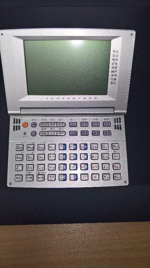 RIS.jpg