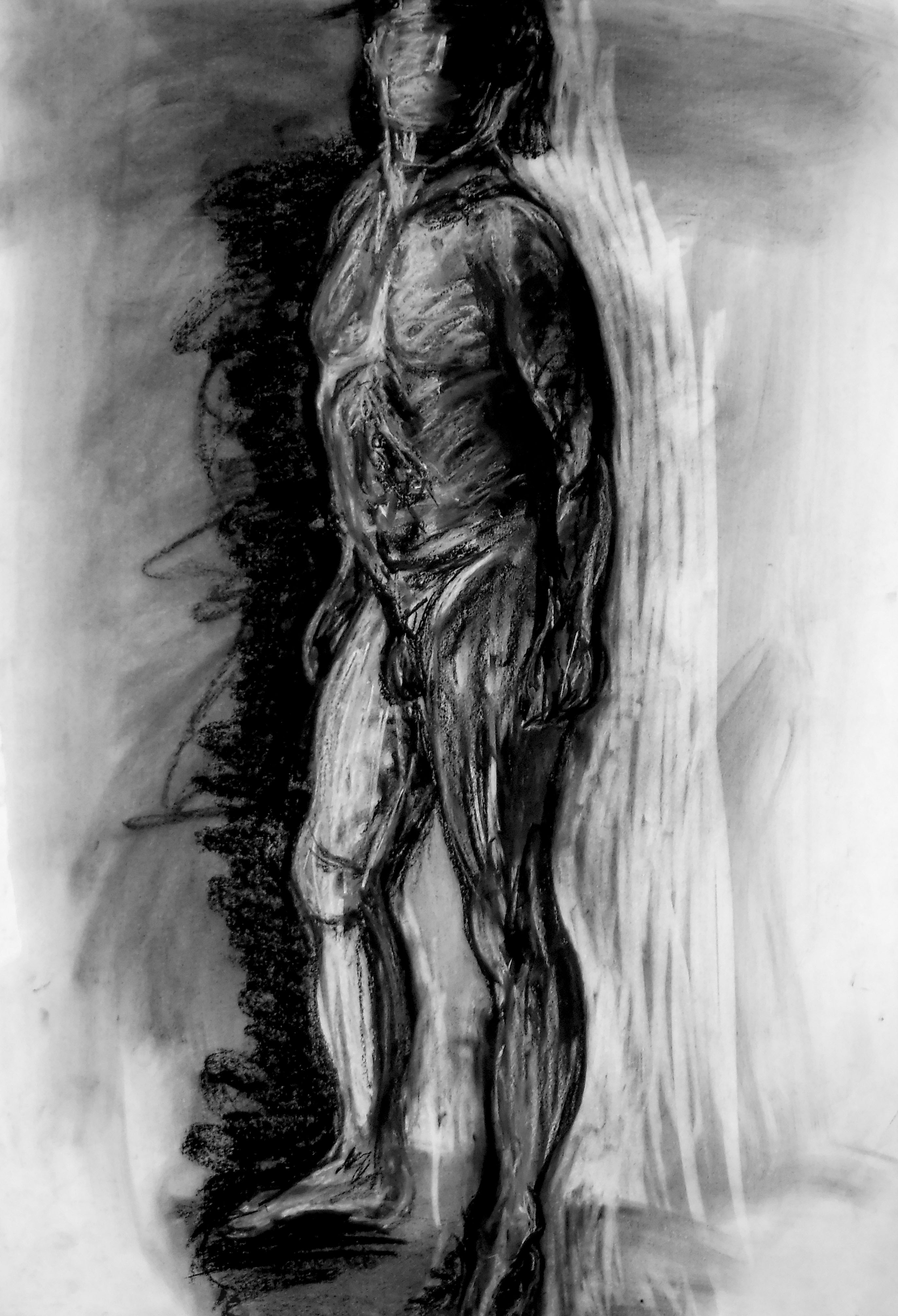 Figure_5_LQ.jpg