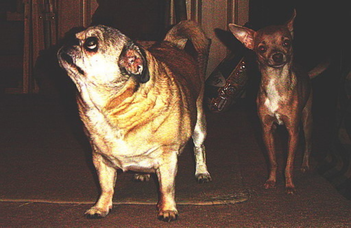 redqueen13-comeintomyroom-15.jpg