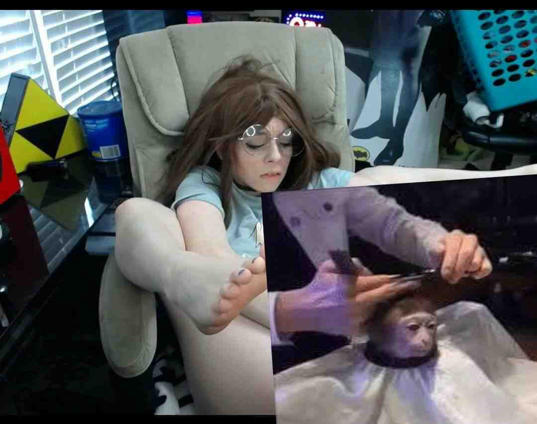 img.jpg