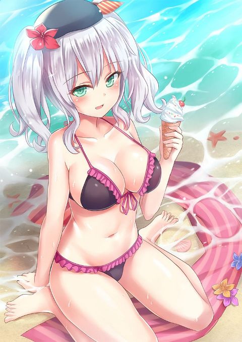 RIS.jpg