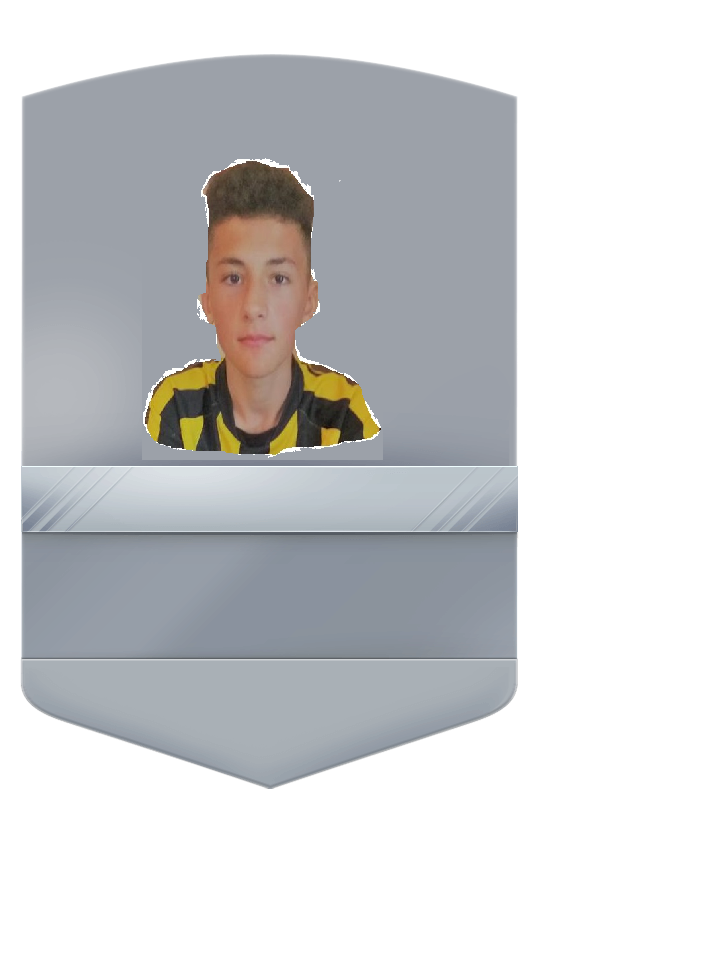kit_silver_non_rare.png