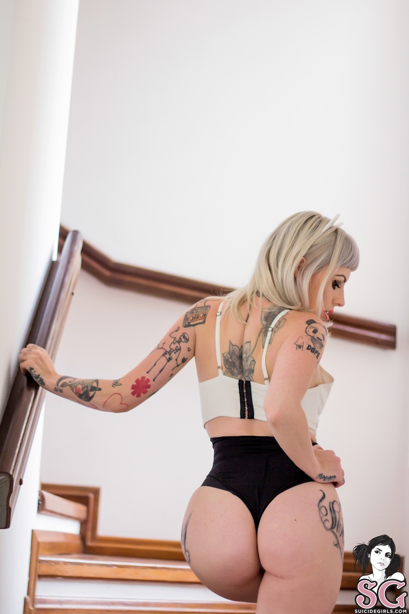 doce-babycat-01.jpg