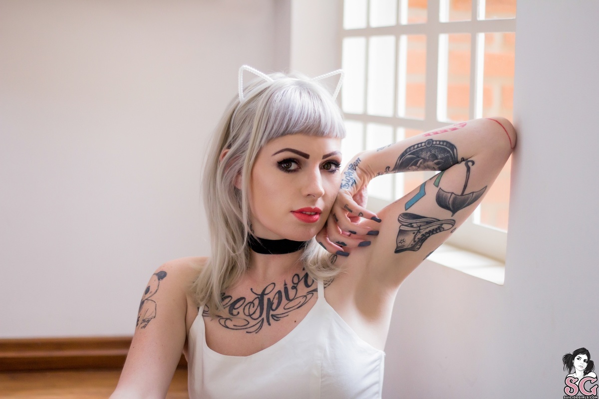 doce-babycat-07.jpg