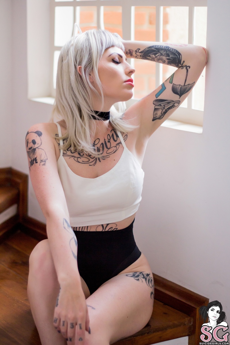 doce-babycat-09.jpg