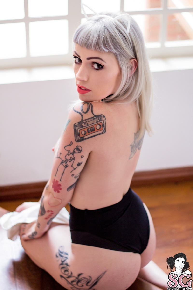 doce-babycat-17.jpg