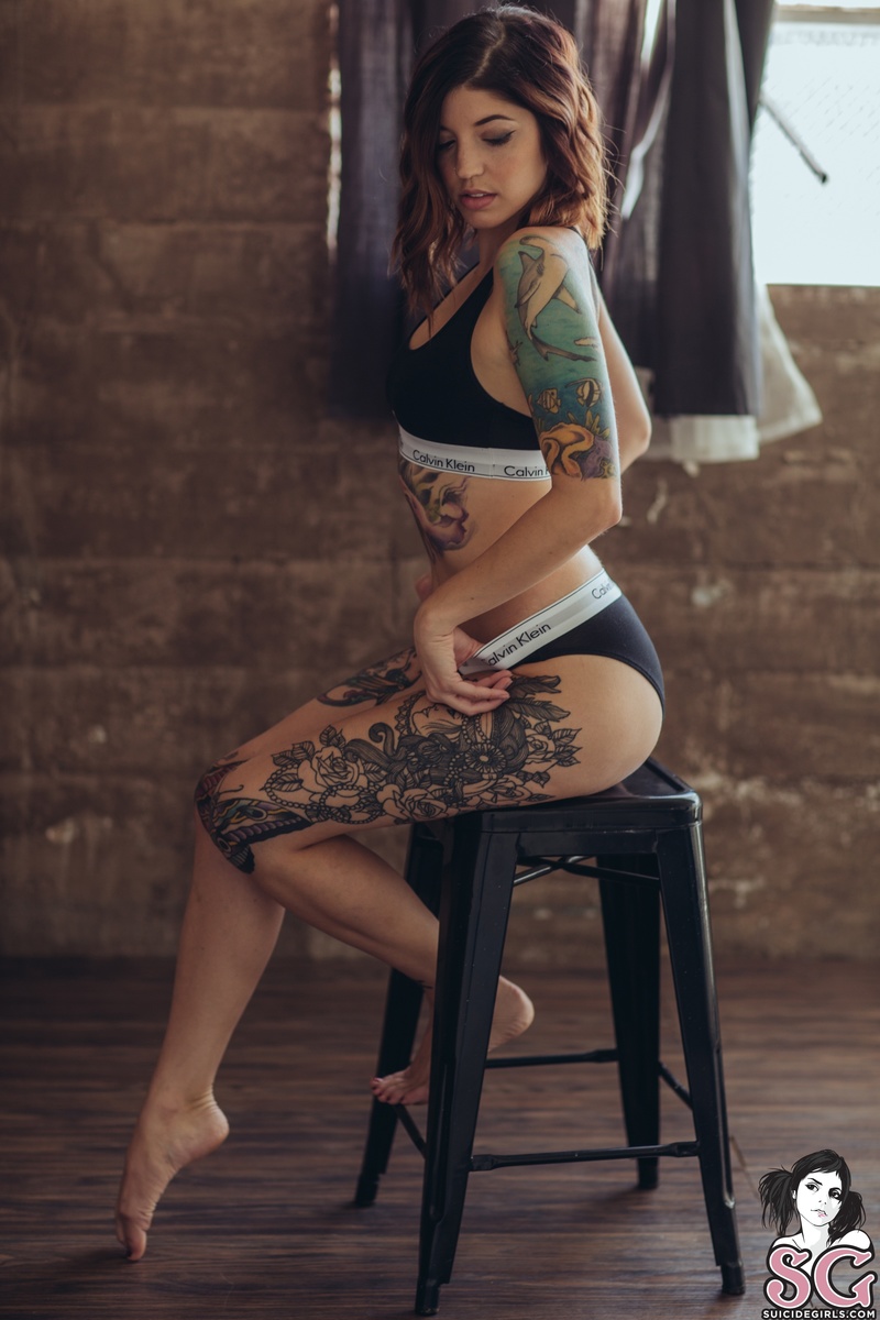 vaire-calvins-09.jpg