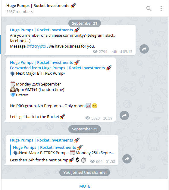 rock investment