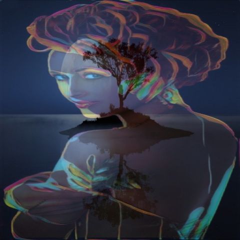 RIS.jpg