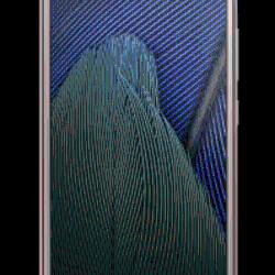 400704_big.jpg
