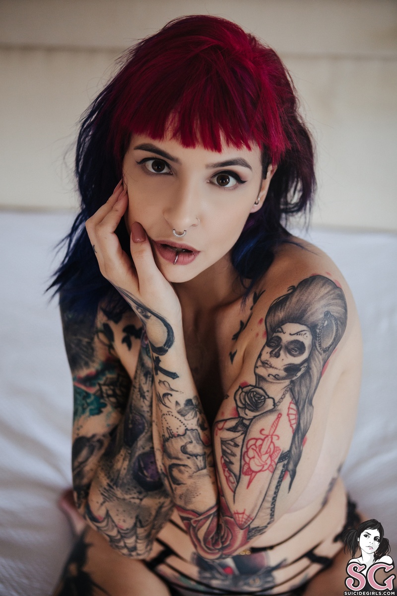 vanp-paradisecircus-33.jpg