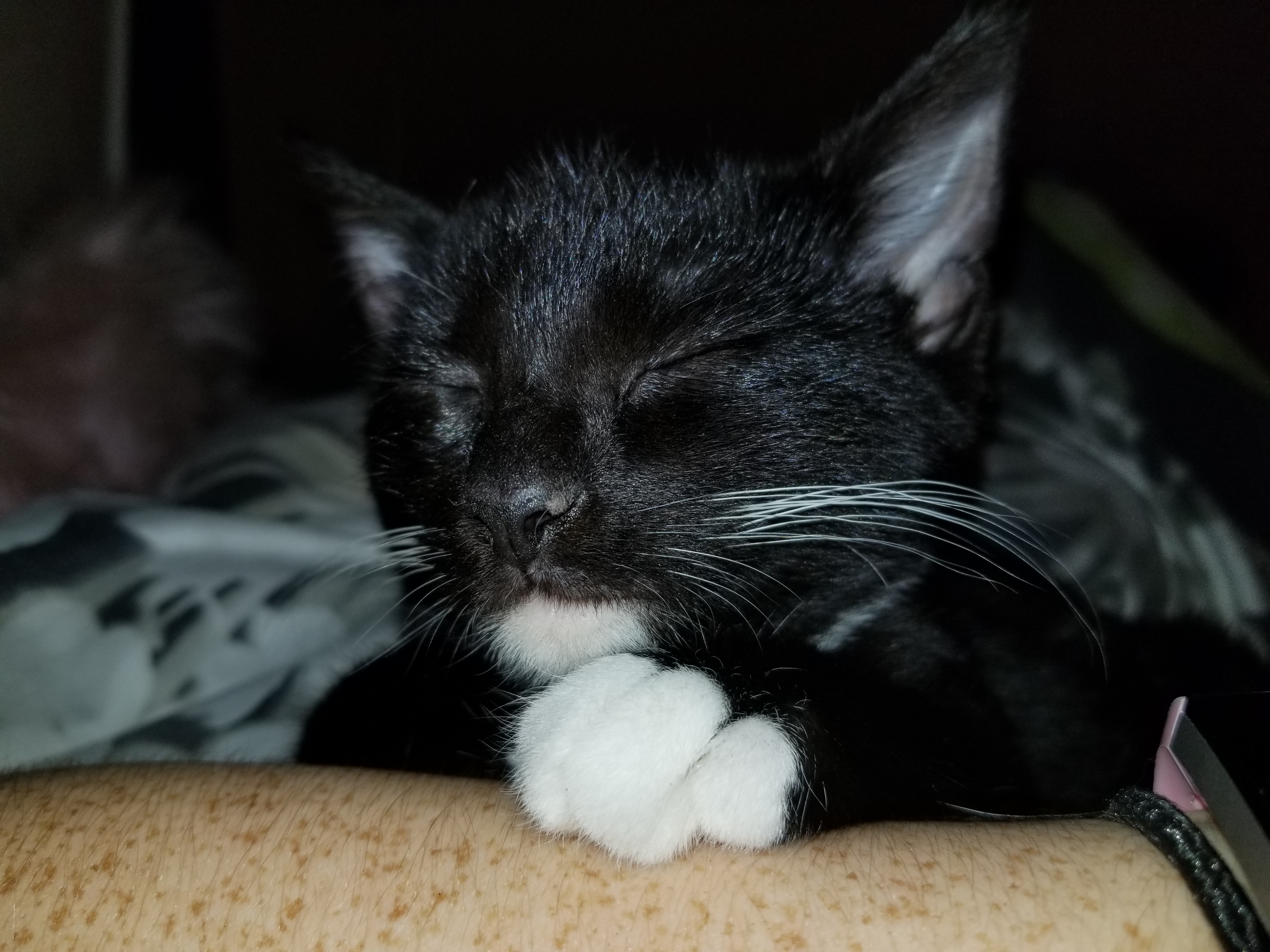 20171001_043917.jpg