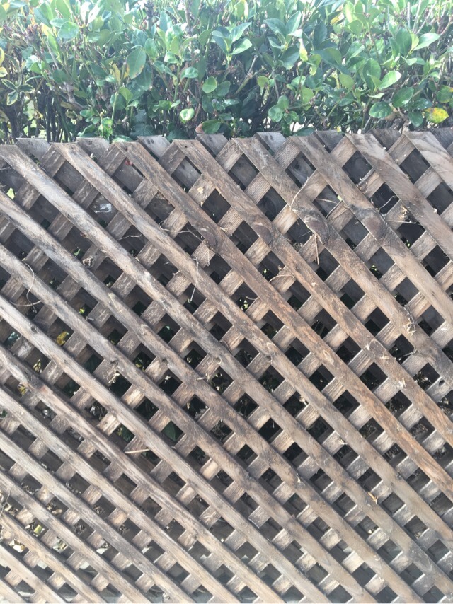 file.jpg