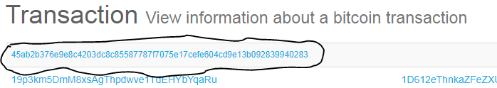 hashid.PNG