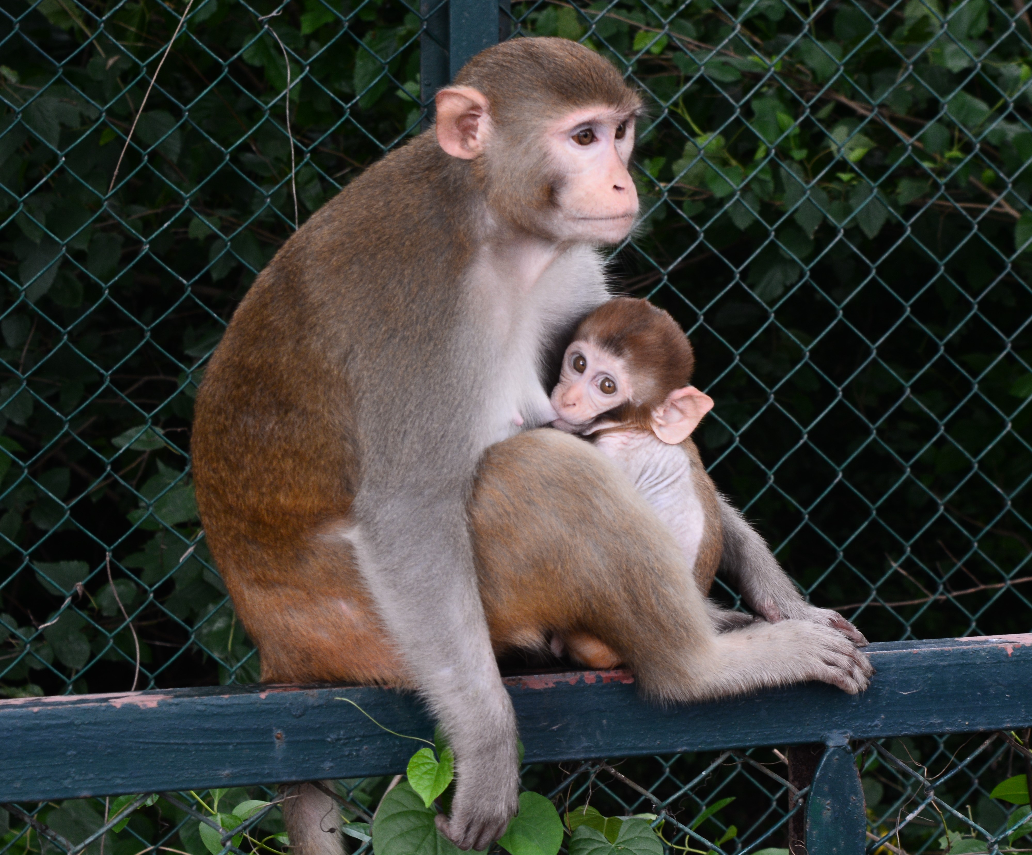 DSC_0154.JPG