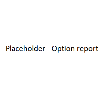 Optionreport.png