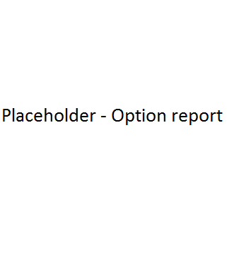 Optionreport.png