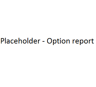 Optionreport.png