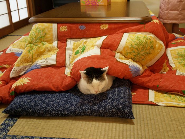 bed_table_07.jpg