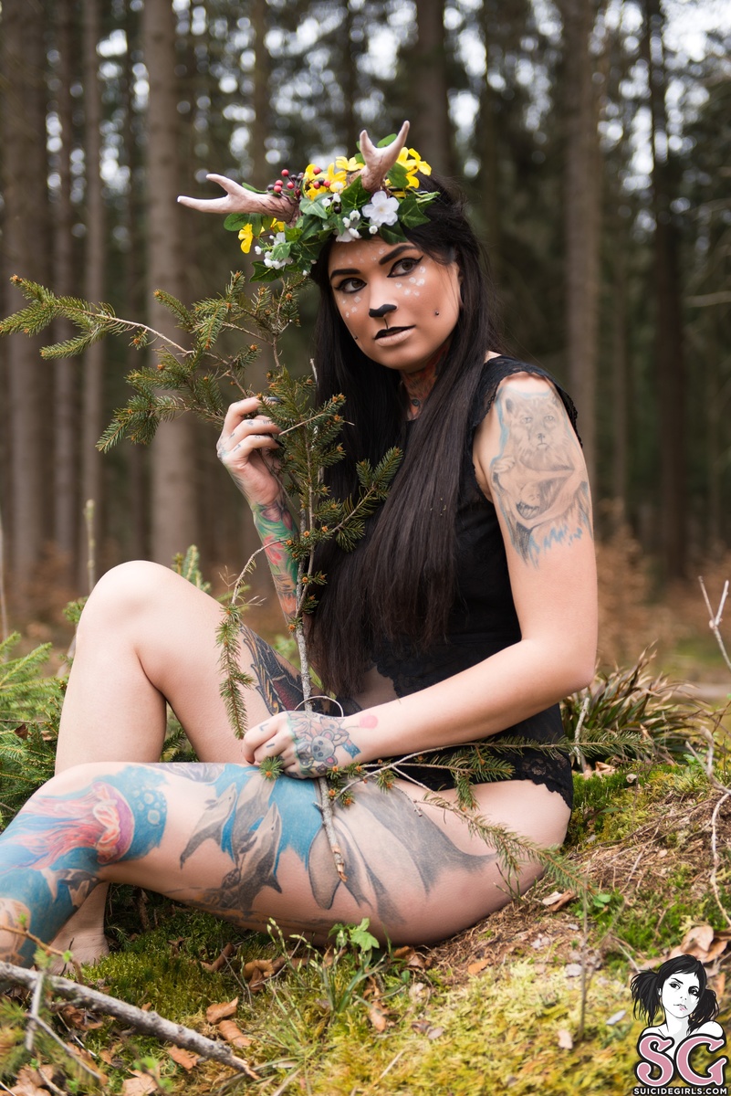 toxyfoxy-forest-07.jpg