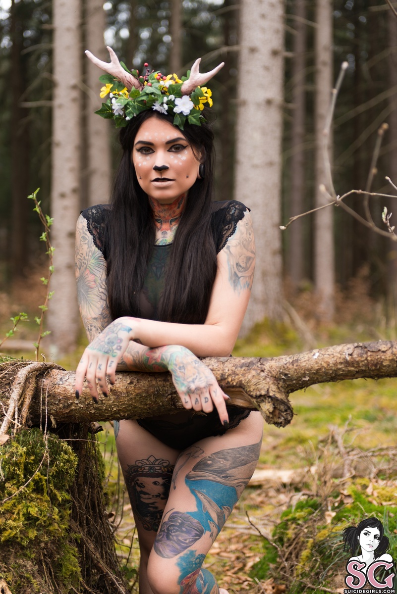 toxyfoxy-forest-15.jpg