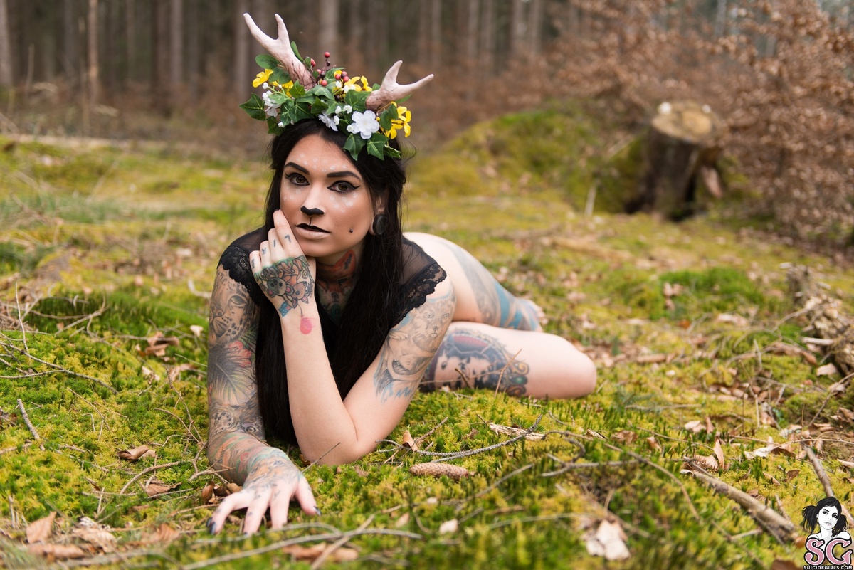 toxyfoxy-forest-21.jpg