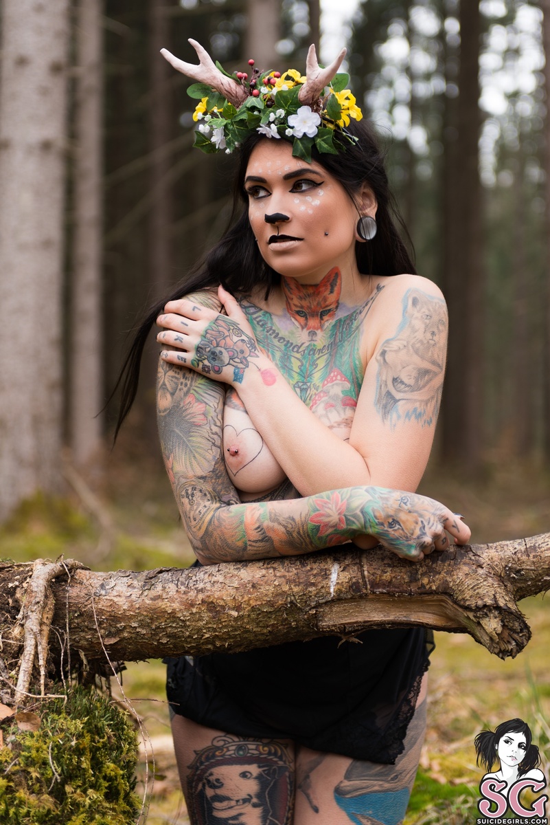 toxyfoxy-forest-31.jpg