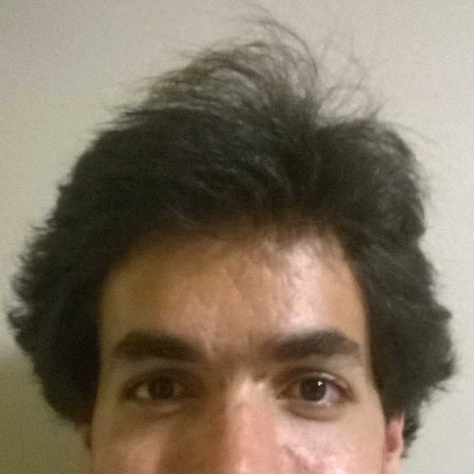 luis.jpg
