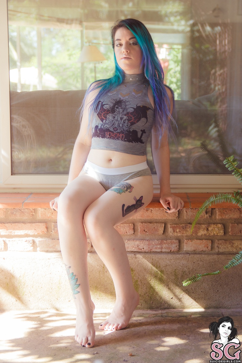 katablue-violetroses-01.jpg
