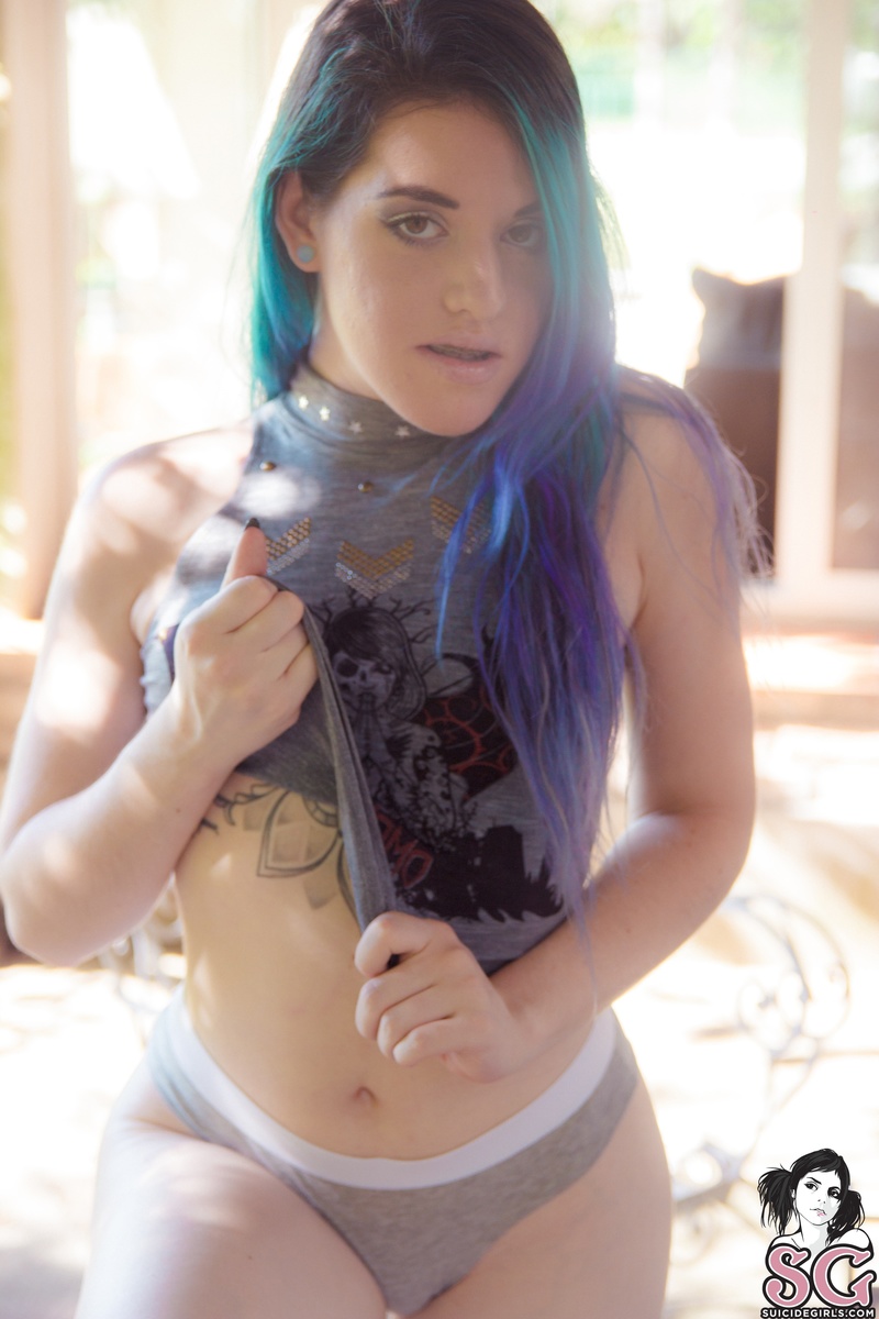 katablue-violetroses-15.jpg