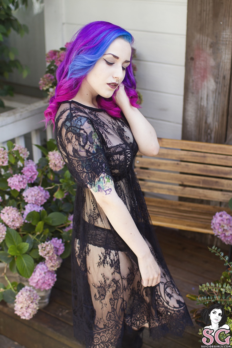 syduck-ablossomfell-01.jpg