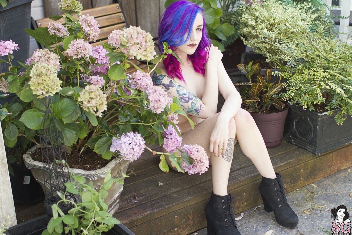 syduck-ablossomfell-29.jpg