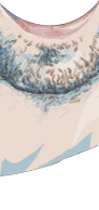 image2332.png