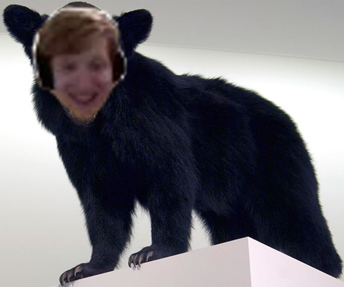 bear.png