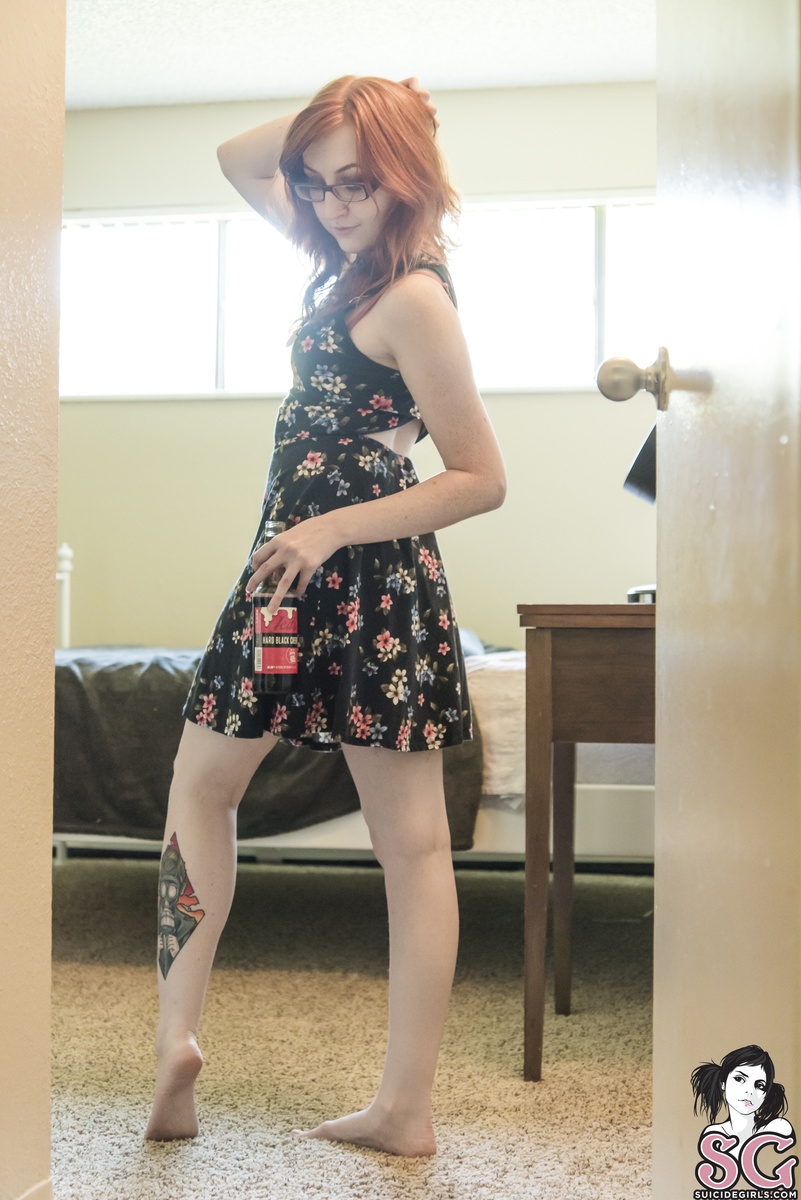kitten-blackcherry-01.jpg