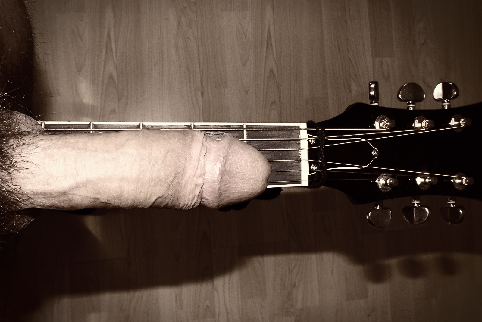 Dicker Schwanz liegt auf Gitarre