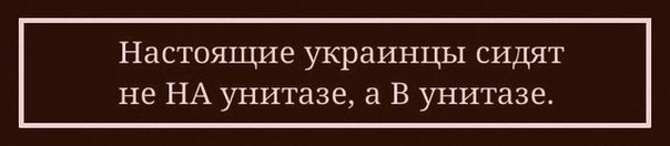 10035415.jpg