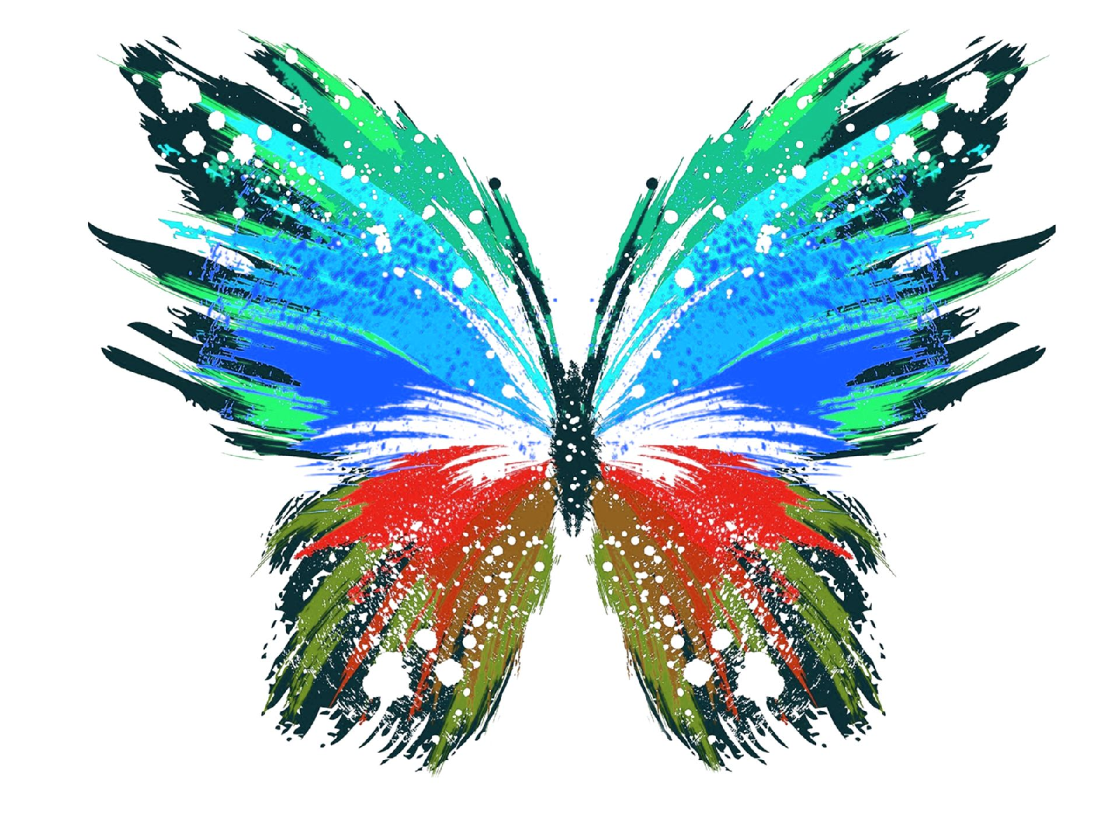 Butterfly2.png
