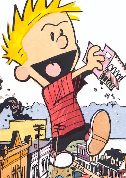 CalvinHobbes-Chagrin-Falls2.jpg