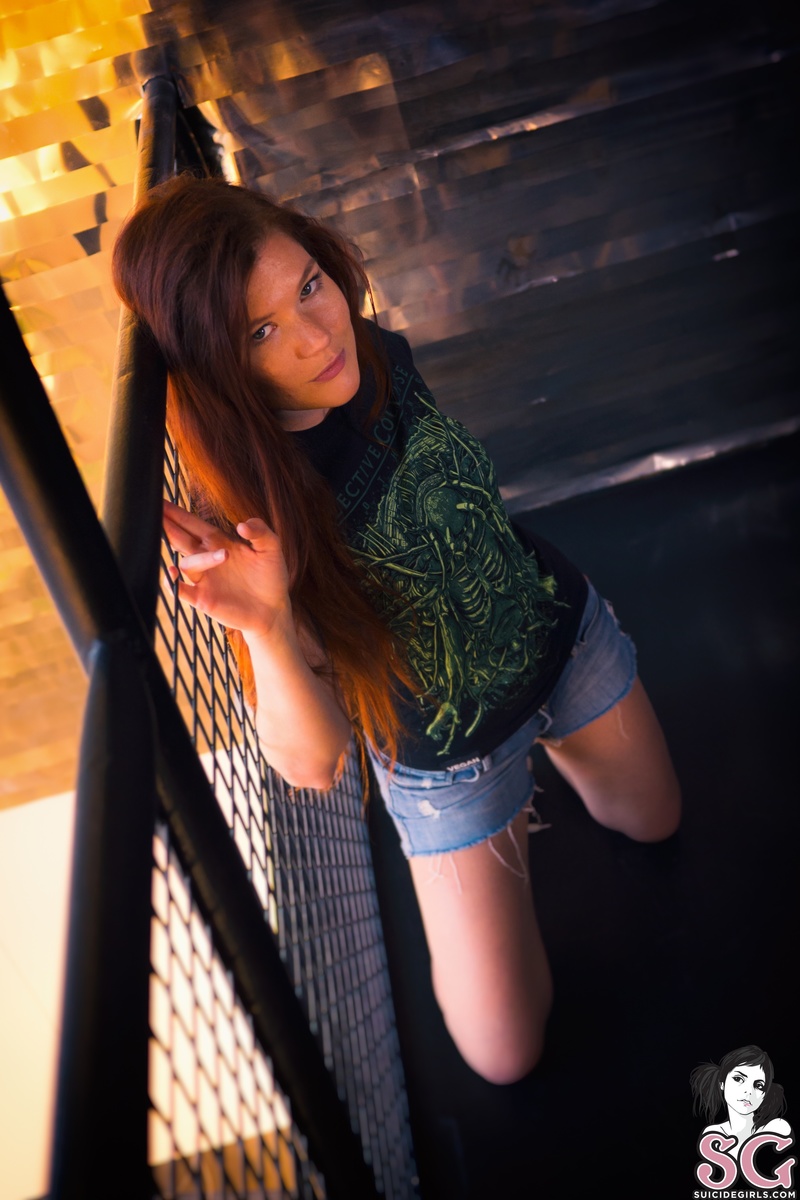 mias-goldisthenewblack-05.jpg