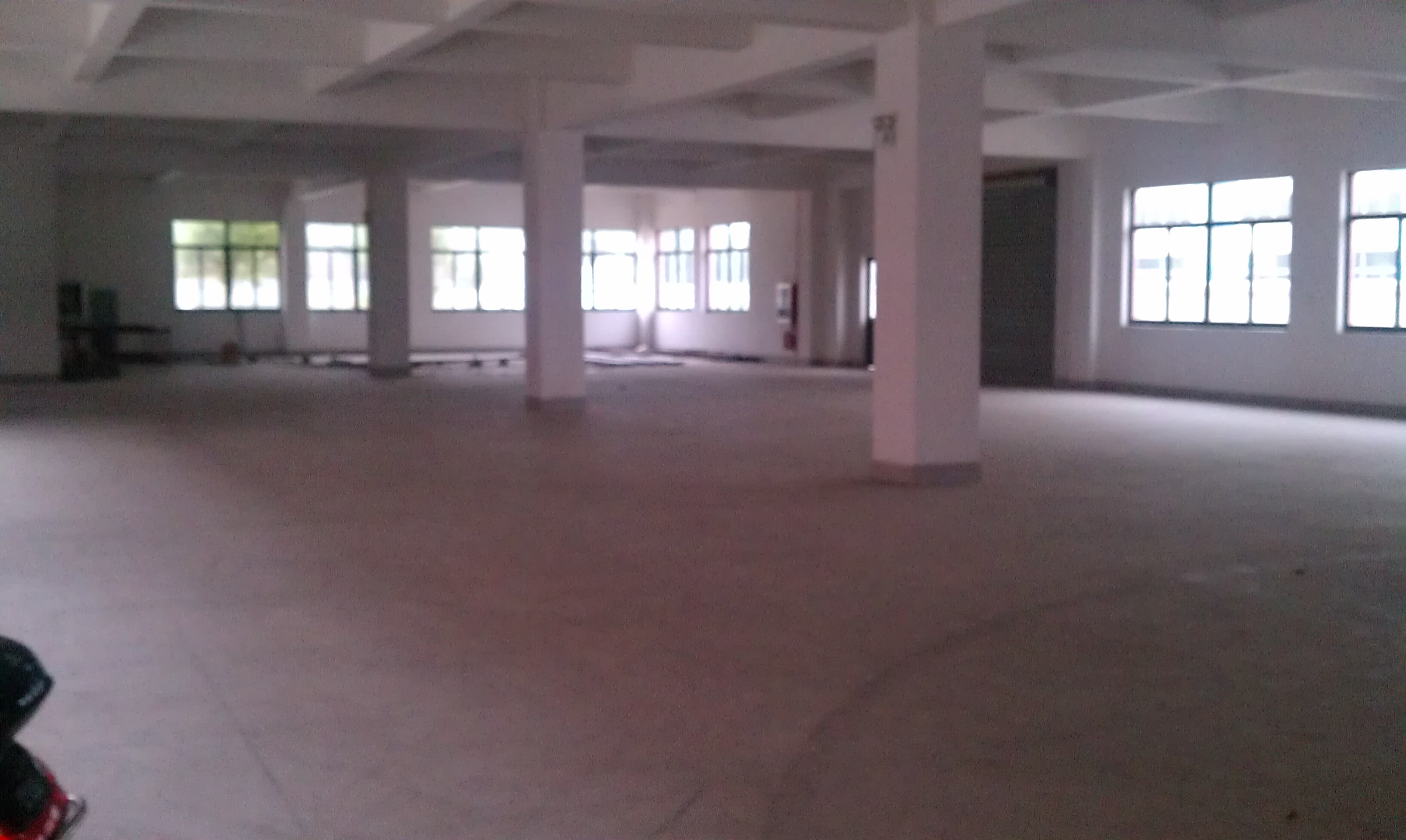 IMAG0495.jpg