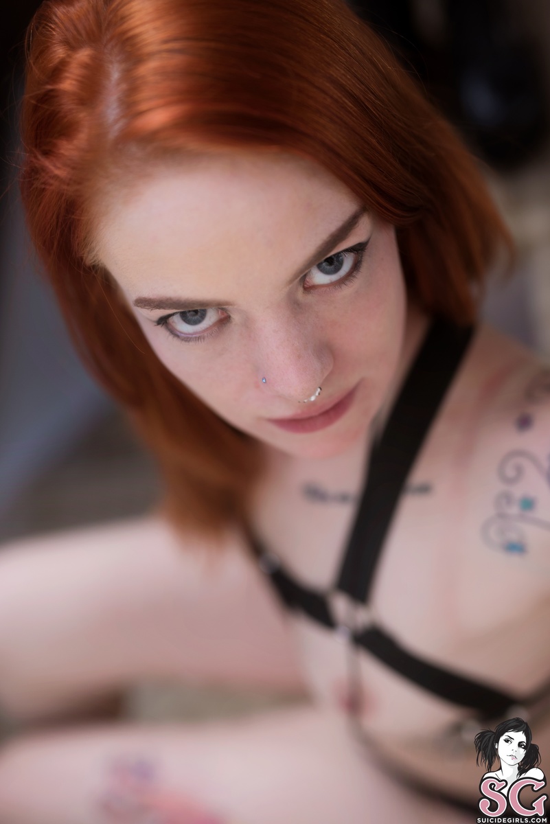 salliss-homesick-17.jpg