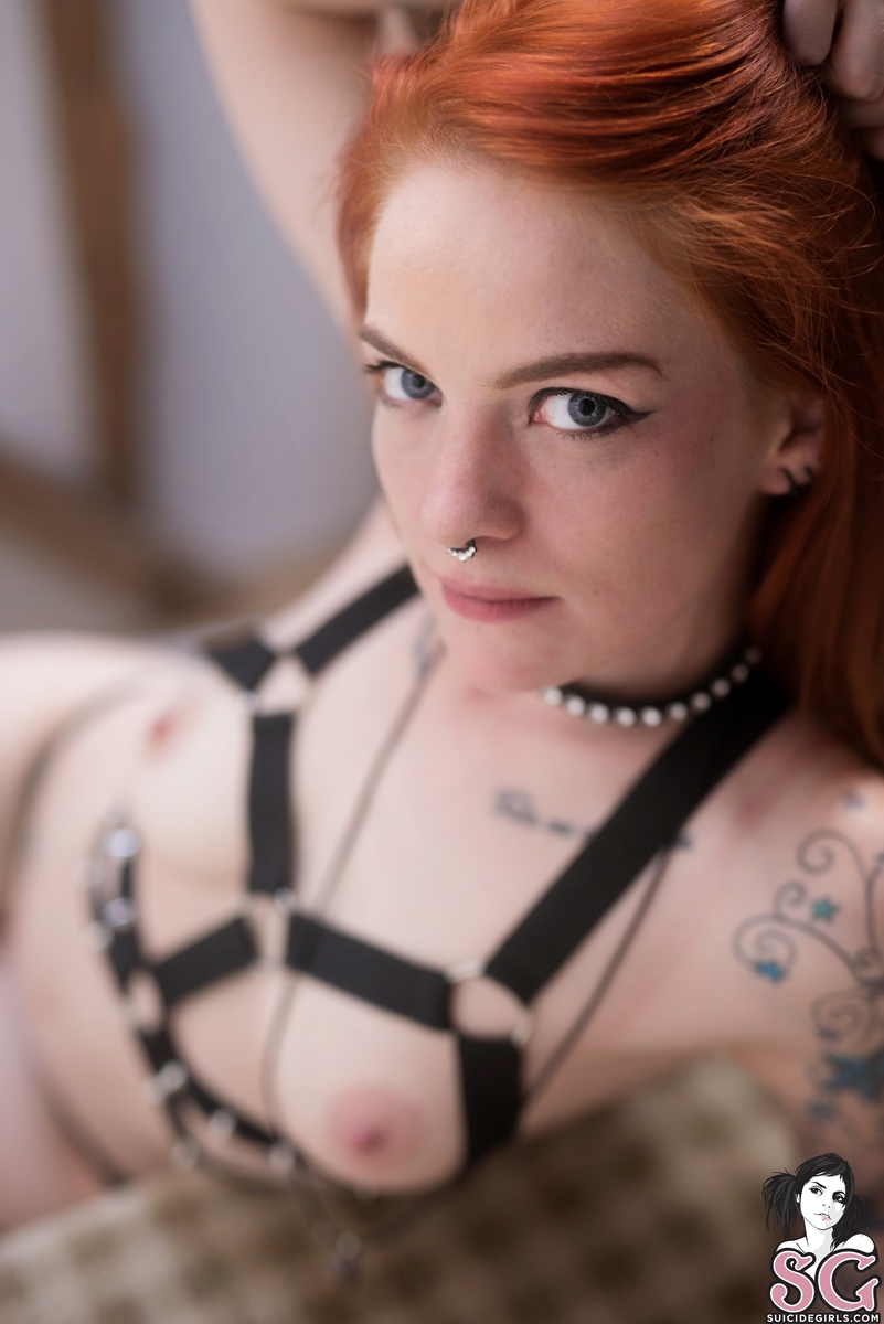 salliss-homesick-23.jpg