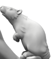 HeroForgeScreenshot.png