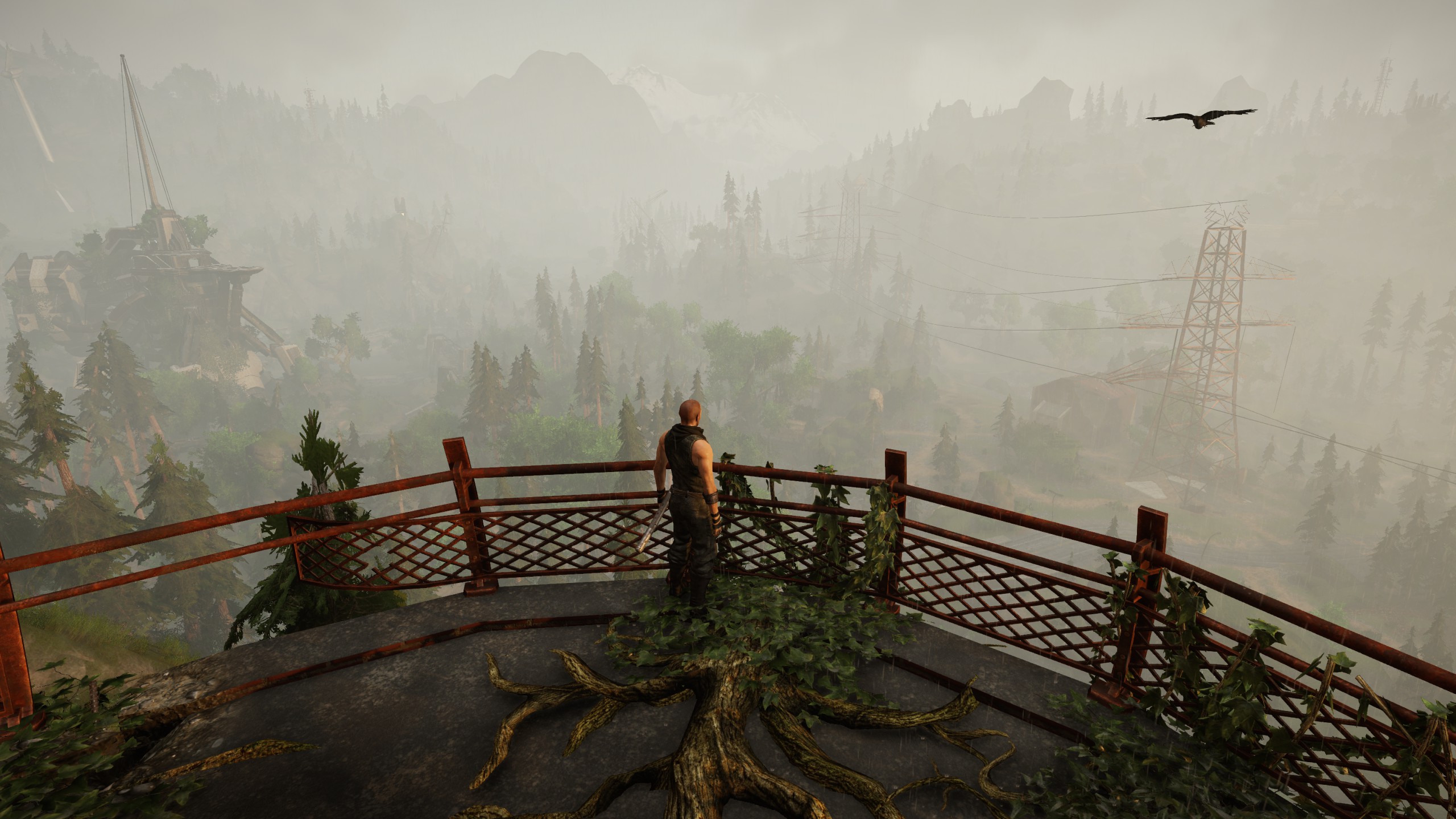 withfog.jpg