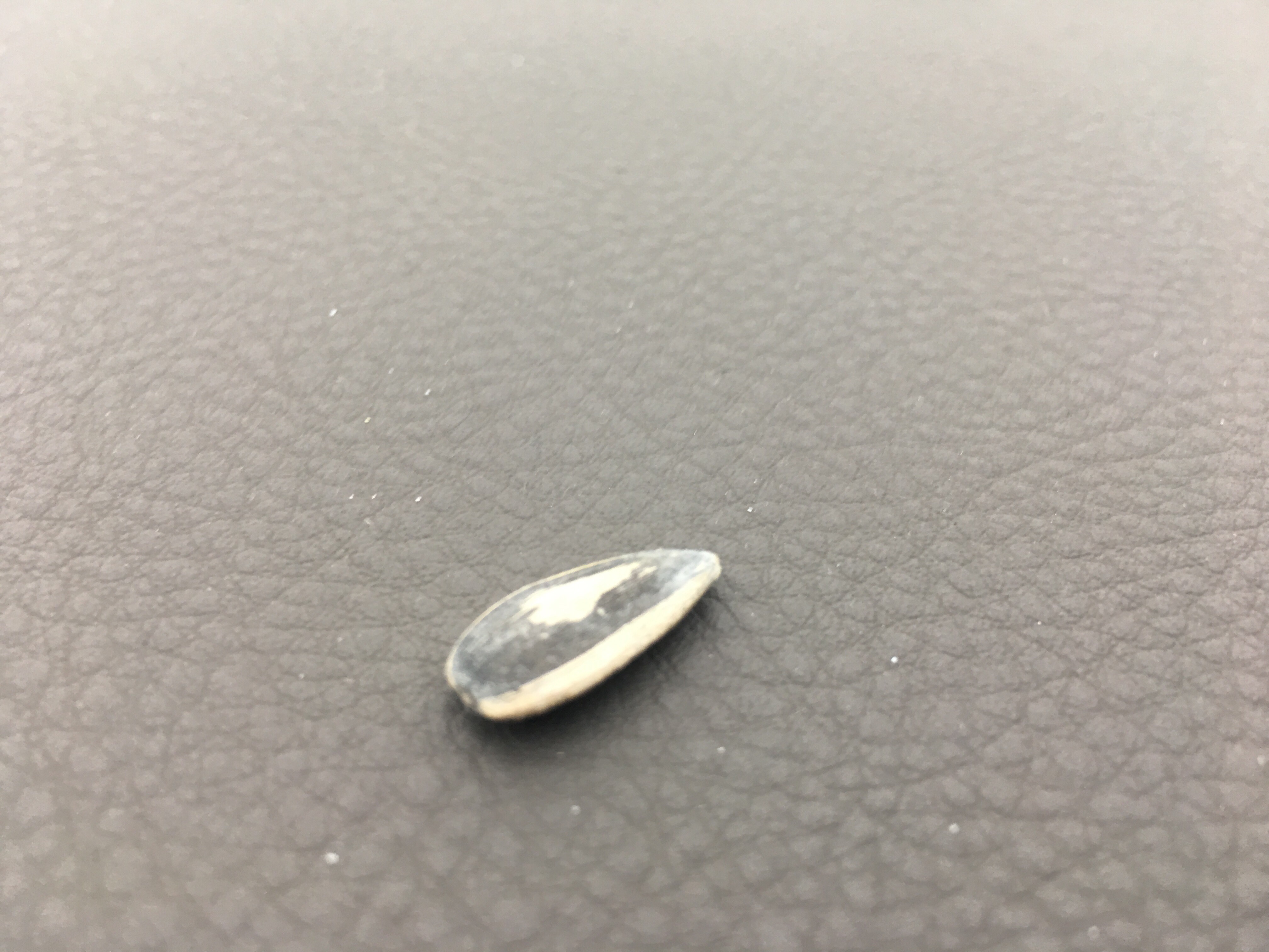 file.jpg